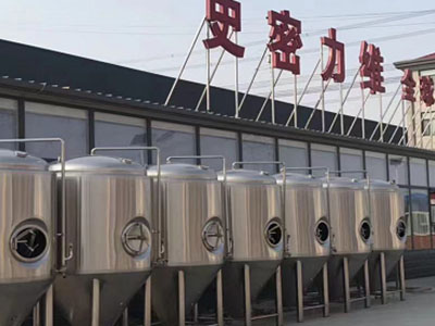 团风精酿啤酒设备厂—如何判断精酿啤酒设备的密封件需要更换？